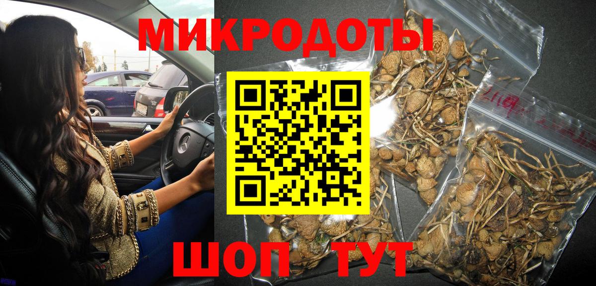 Псилоцибиновые грибы мицелий Горячий Ключ
